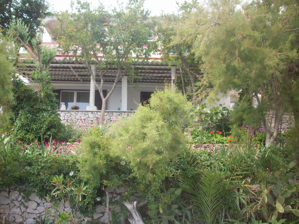 Apartments Tomovic لومباردا المظهر الخارجي الصورة