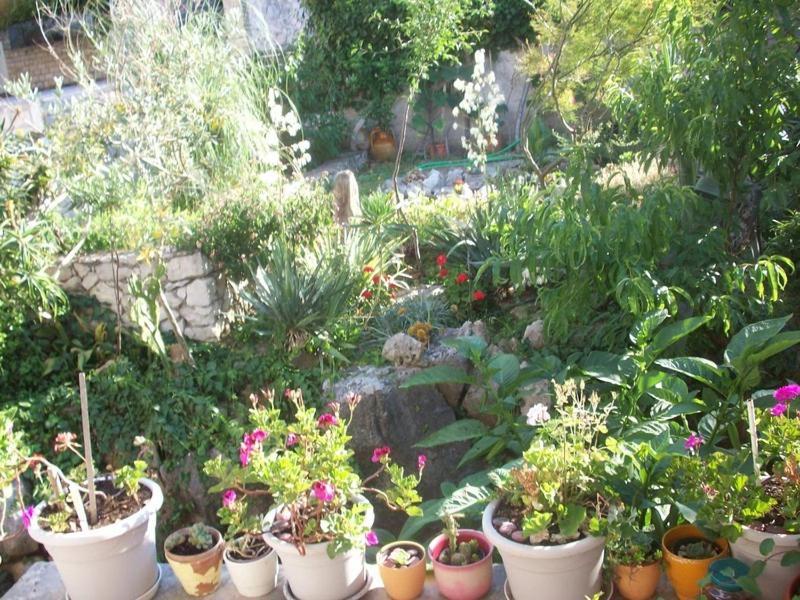 Apartments Tomovic لومباردا المظهر الخارجي الصورة